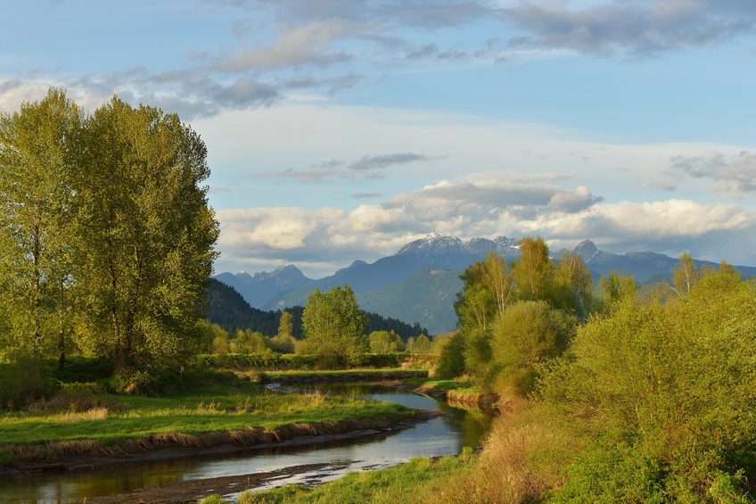 Some scenes in X-Men: Last Stand were shot in Golden Ears Provincial Park 